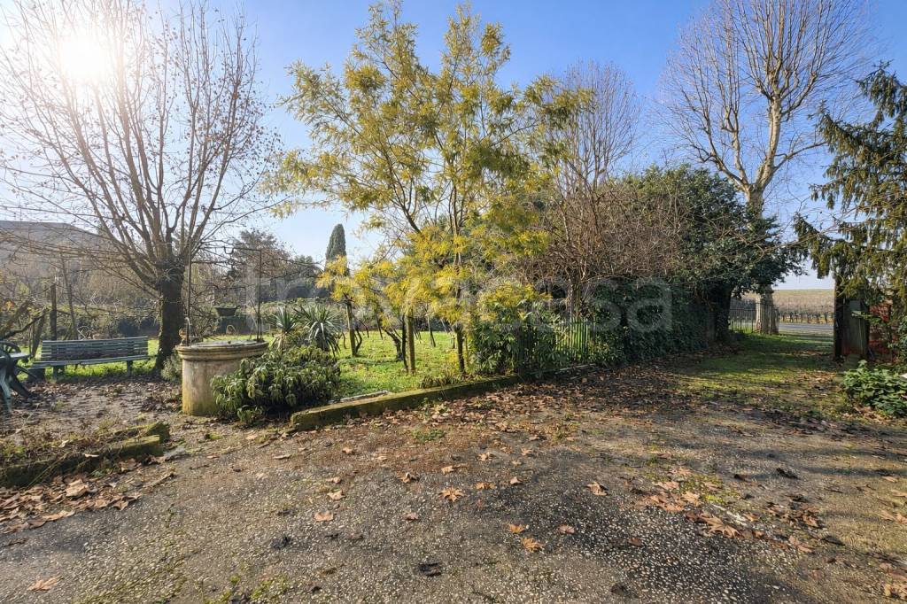 immagine annuncio 11 di 15