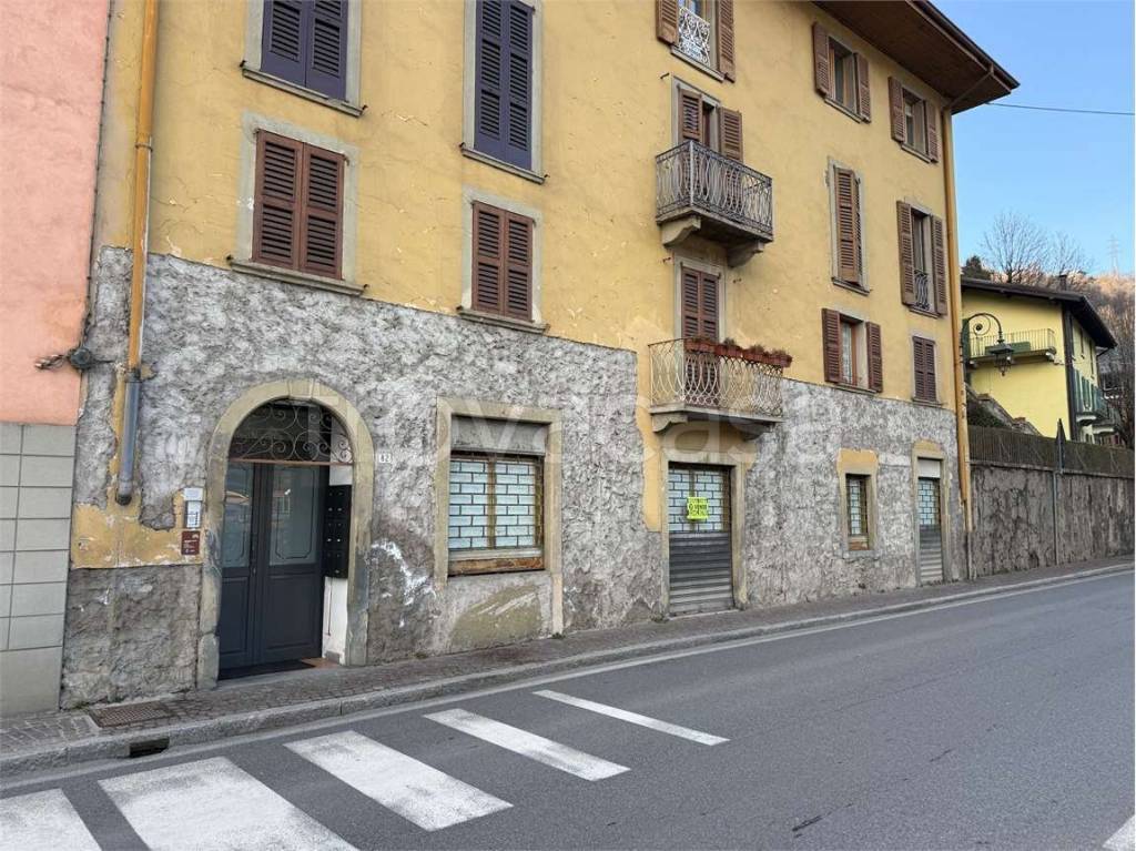 immagine annuncio 11 di 14
