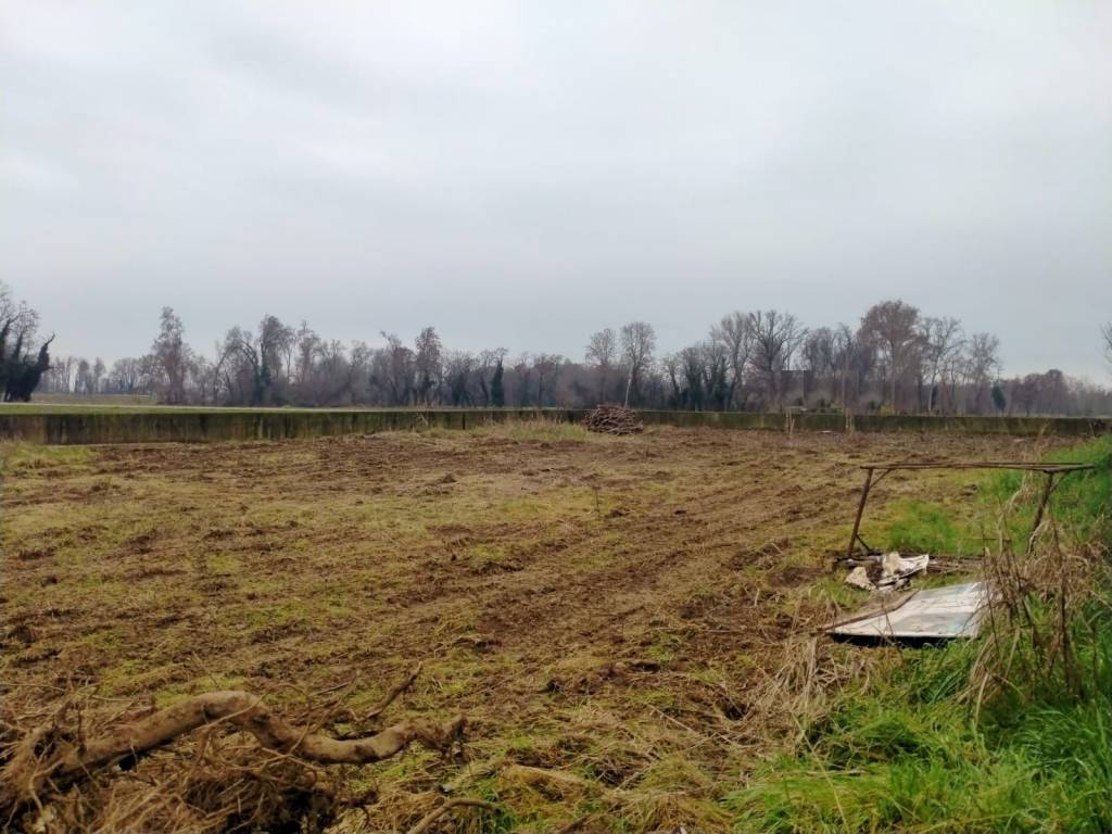 immagine annuncio 3 di 4