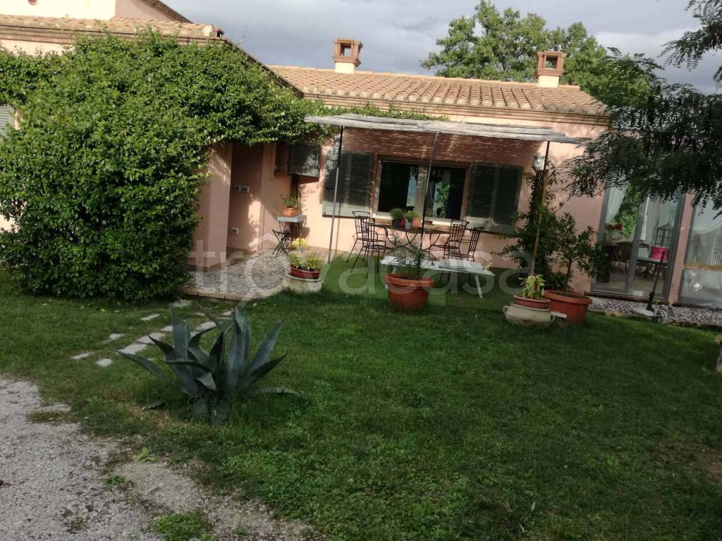 immagine annuncio 12 di 14