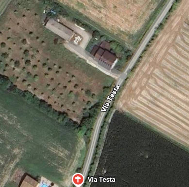 immagine annuncio 10 di 12