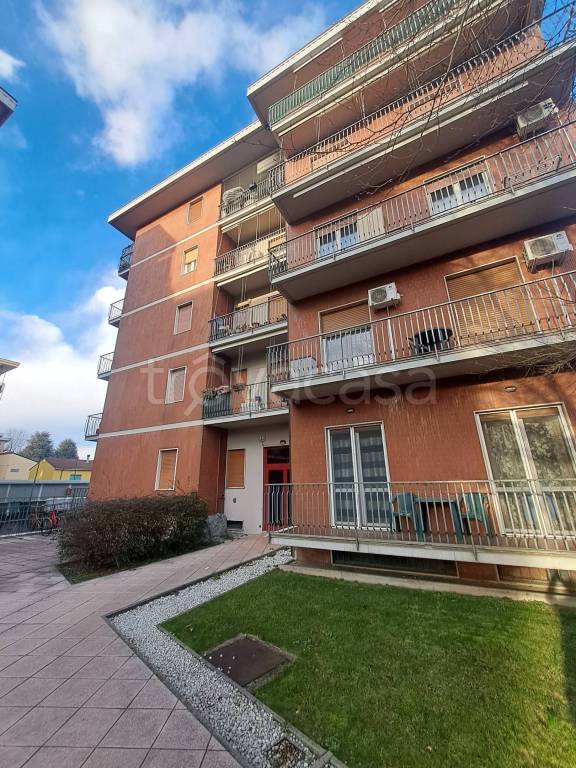 immagine annuncio 1 di 15