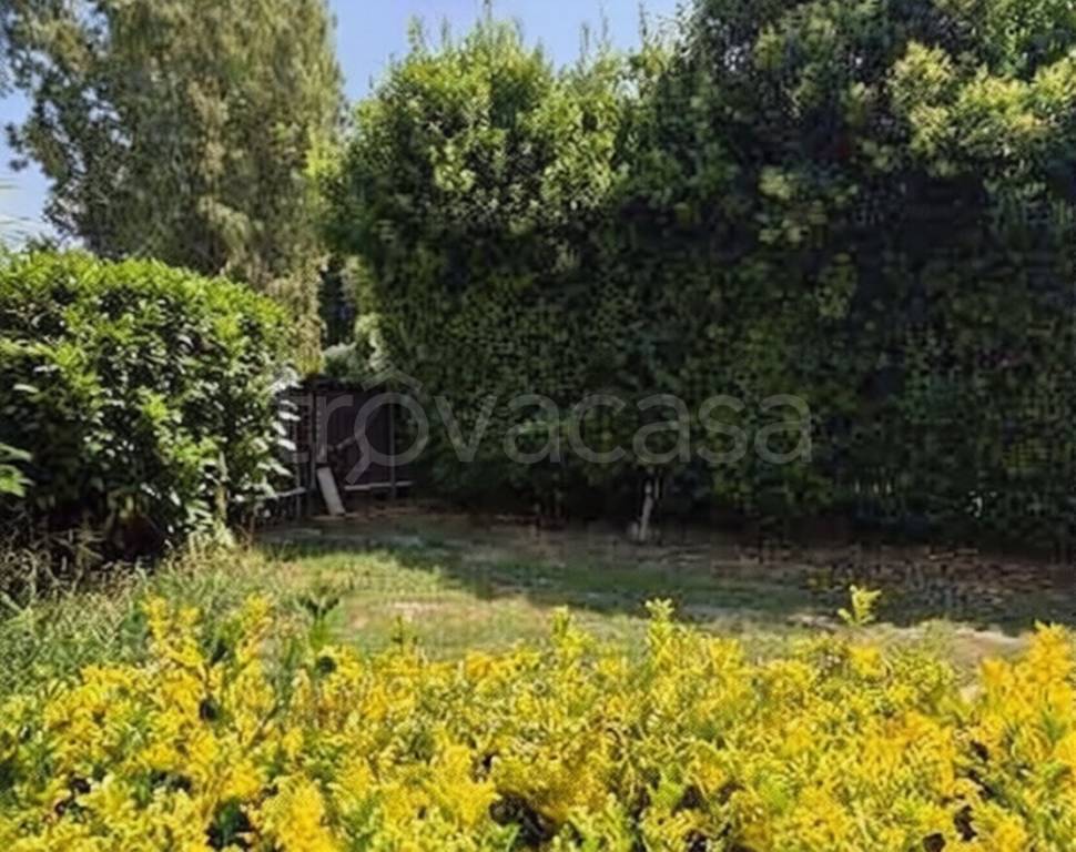 immagine annuncio 1 di 2