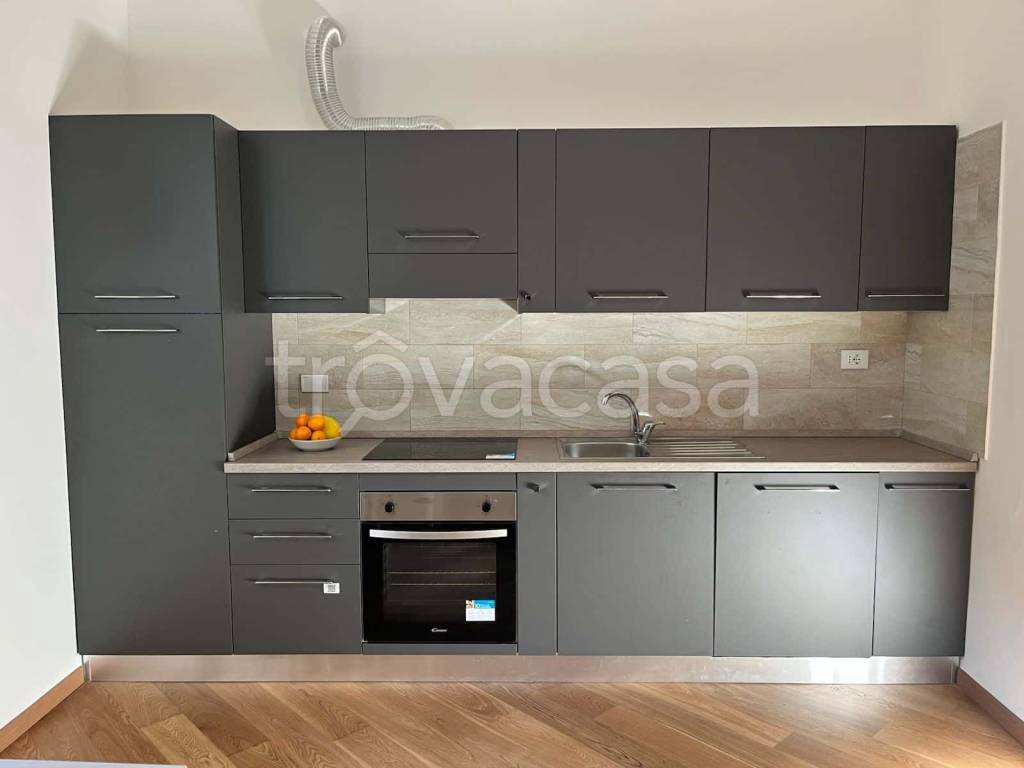 immagine annuncio 1 di 14