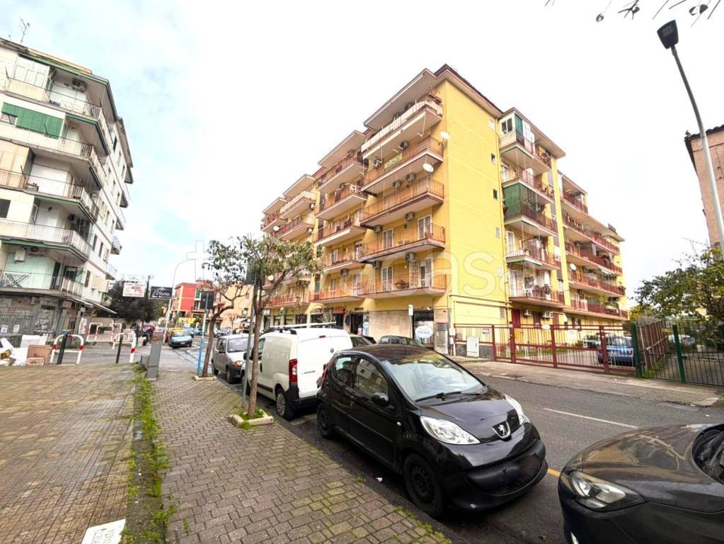 immagine annuncio 12 di 15