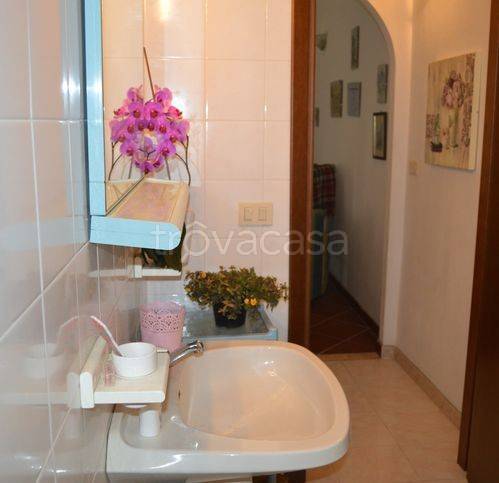 immagine annuncio 7 di 13