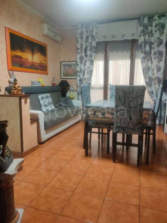 immagine annuncio 1 di 14