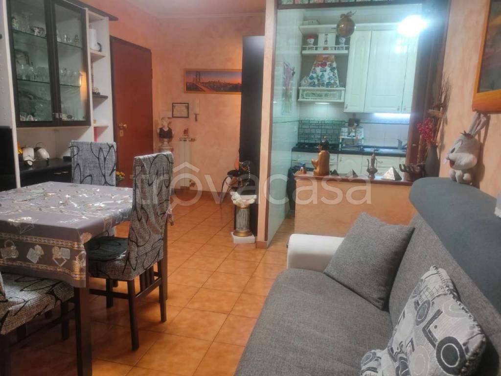 immagine annuncio 2 di 14