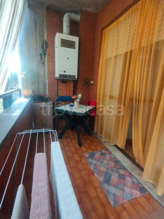 immagine annuncio 12 di 14