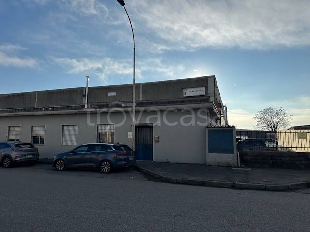 immagine annuncio 1 di 3