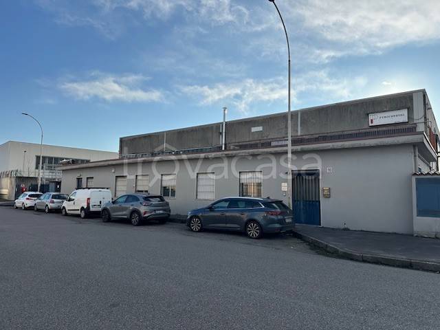 immagine annuncio 2 di 3