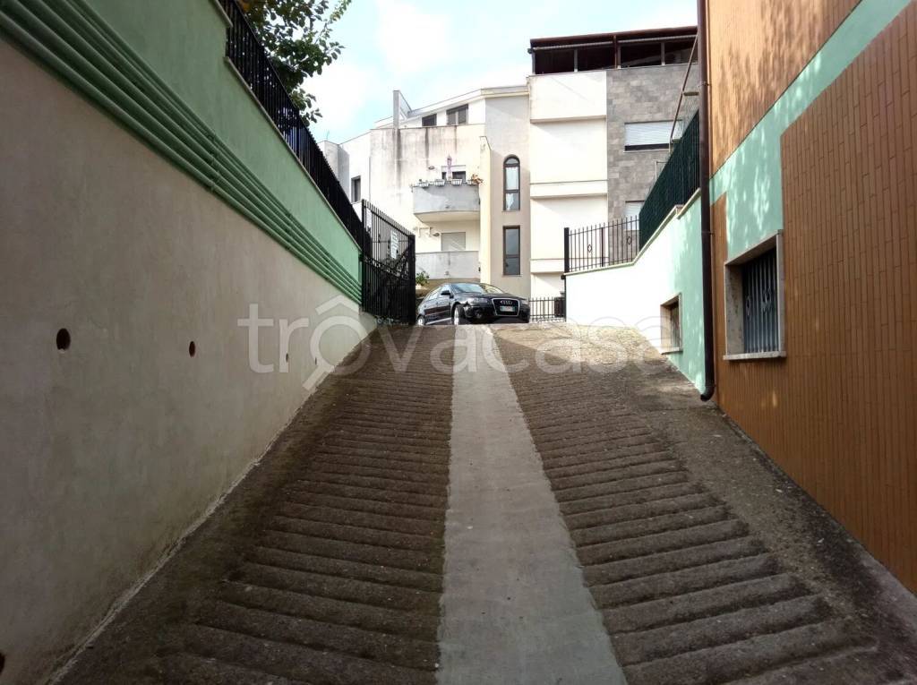 immagine annuncio 1 di 6