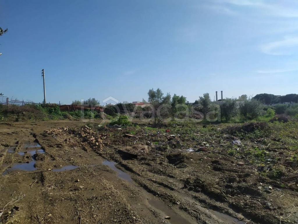 immagine annuncio 3 di 12