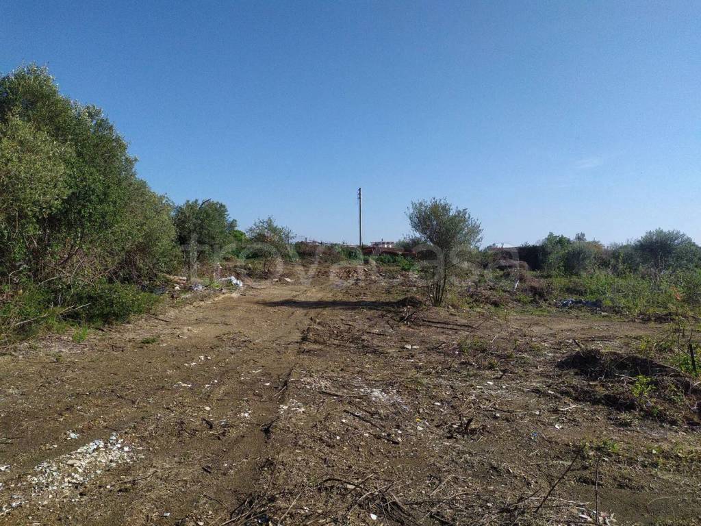 immagine annuncio 6 di 12