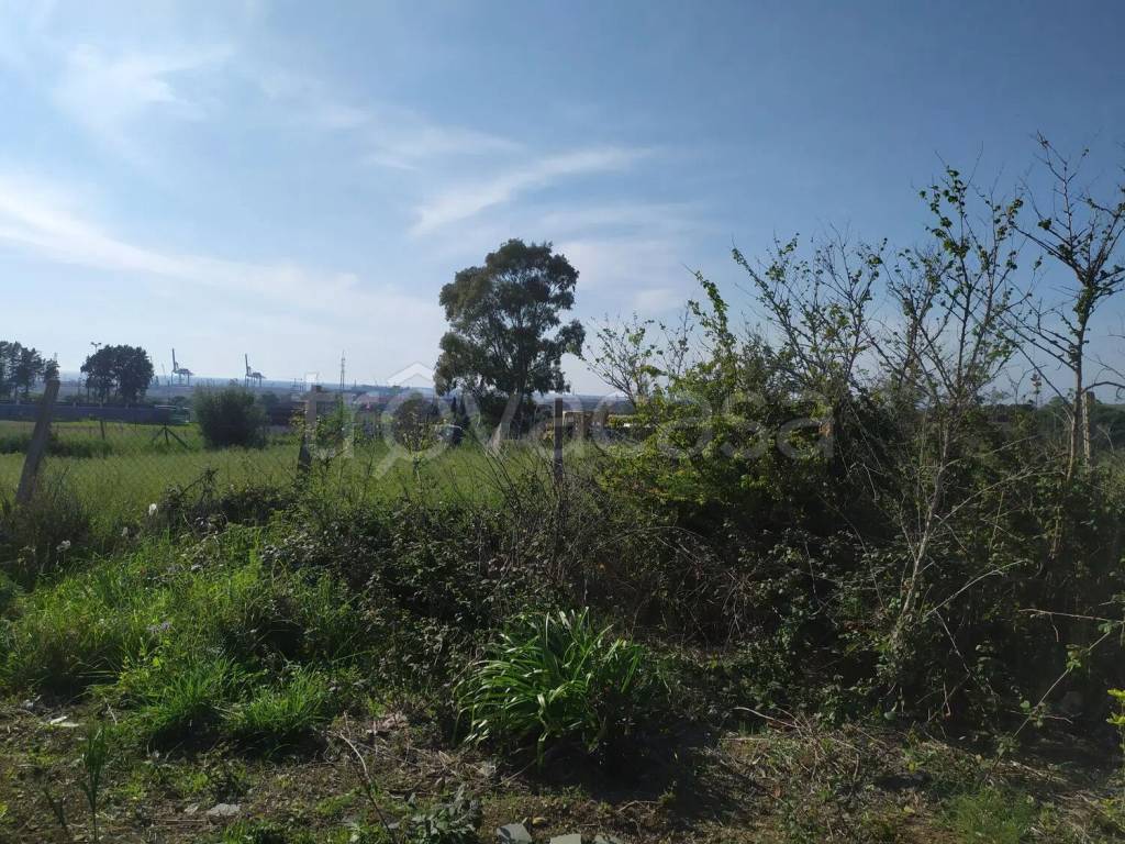 immagine annuncio 8 di 12