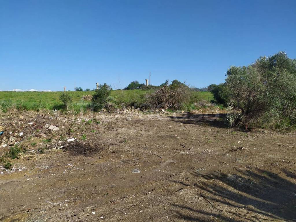 immagine annuncio 9 di 12