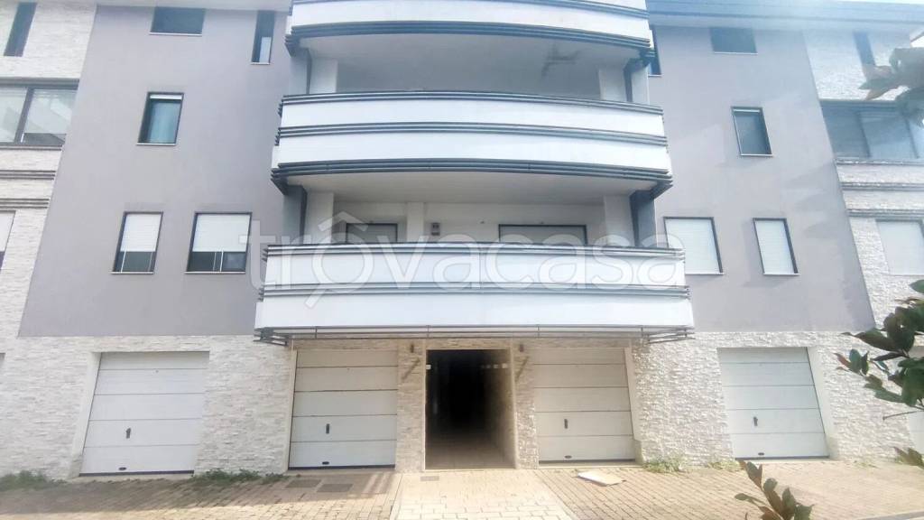 immagine annuncio 2 di 14