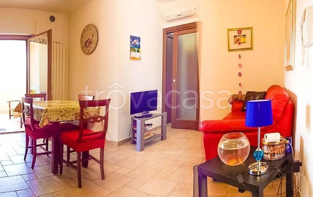 immagine annuncio 2 di 14