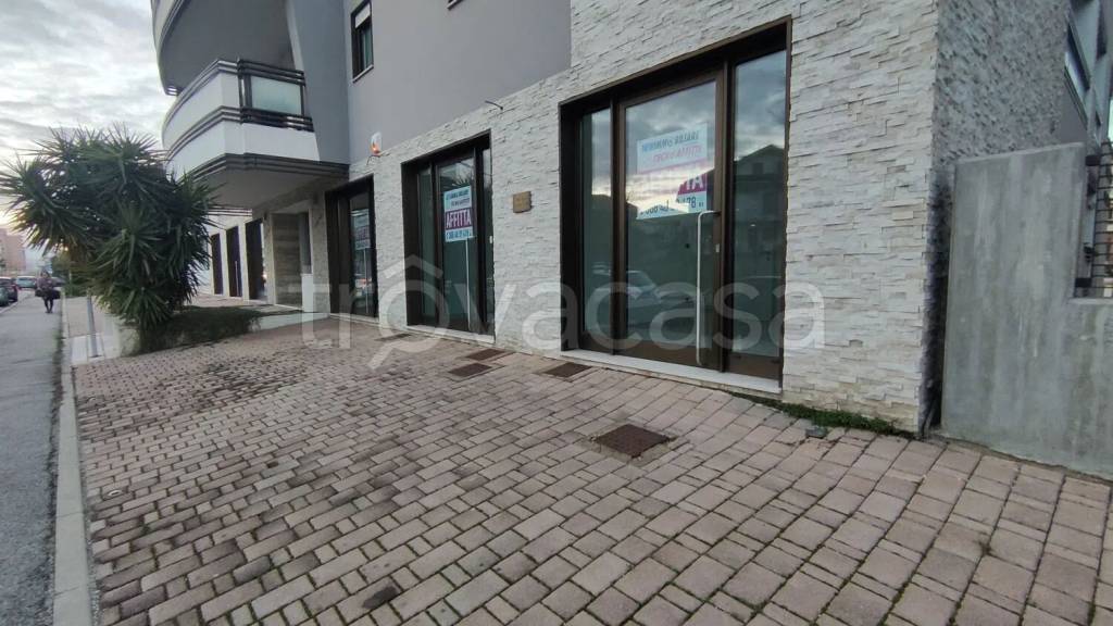 immagine annuncio 6 di 14