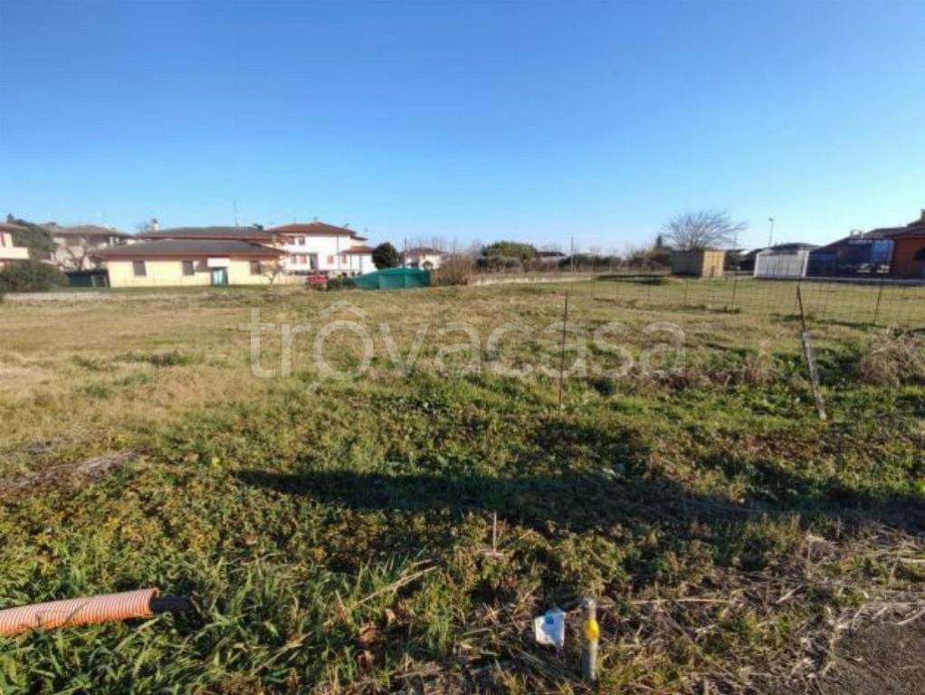 immagine annuncio 2 di 7