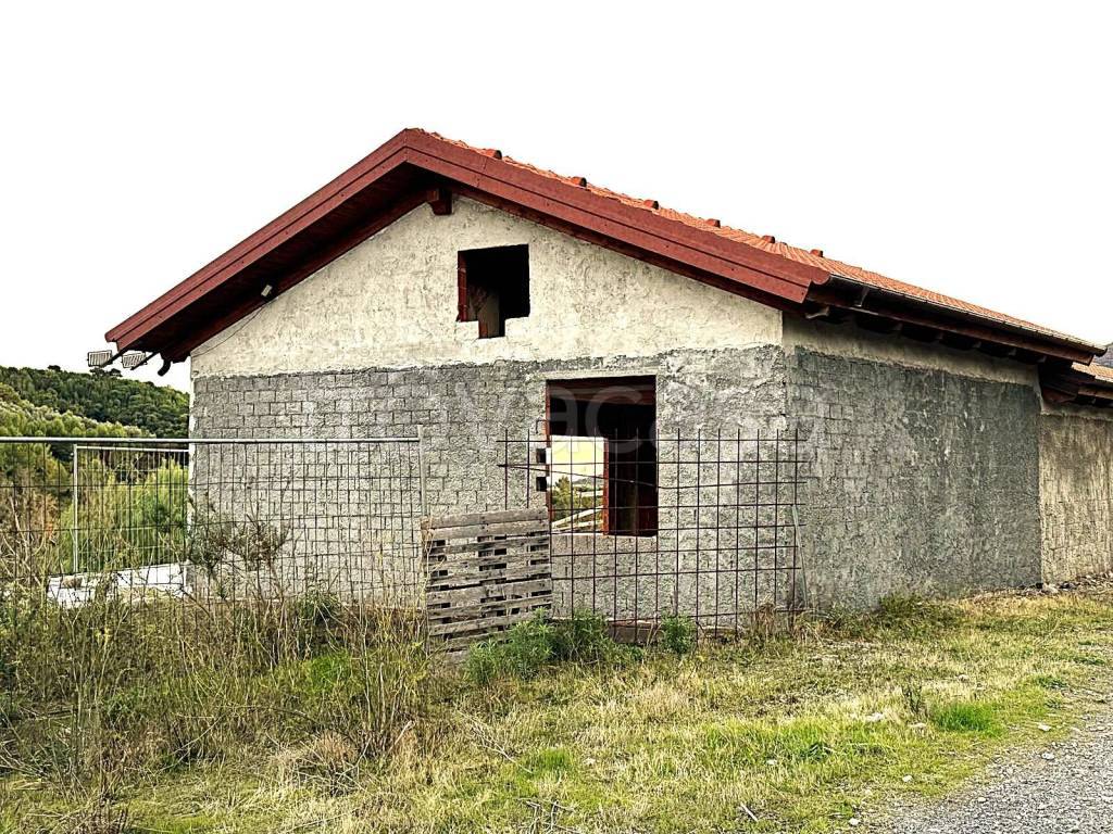 immagine annuncio 1 di 14