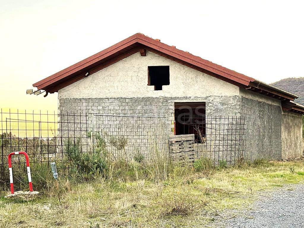 immagine annuncio 9 di 14