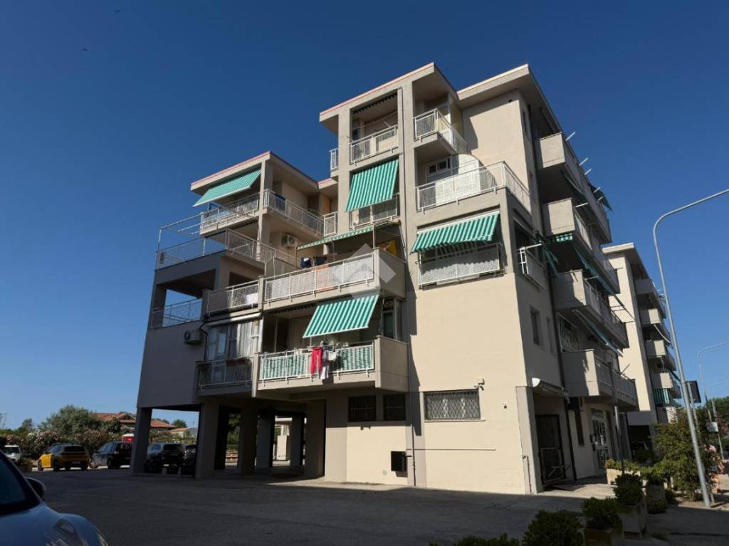 immagine annuncio 10 di 11