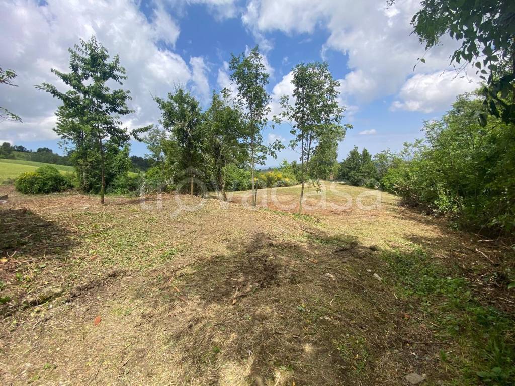 immagine annuncio 6 di 12