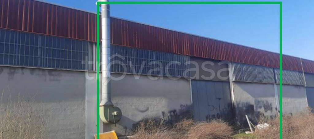 immagine annuncio 2 di 11