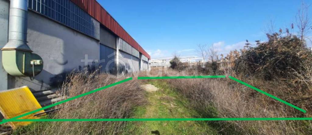 immagine annuncio 3 di 11