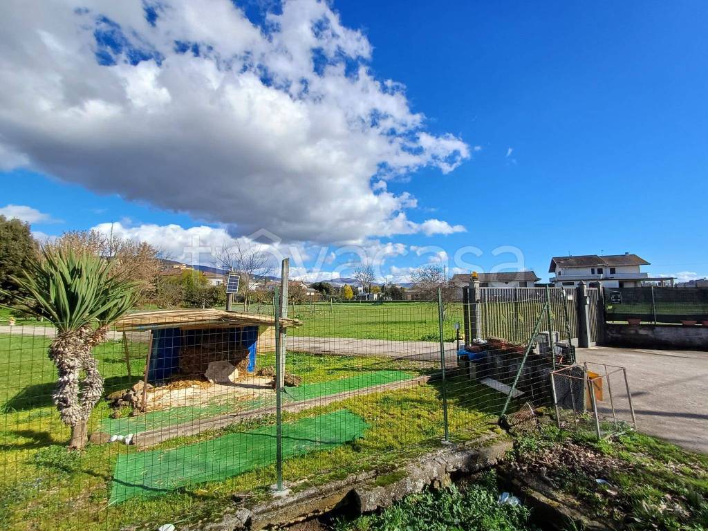 immagine annuncio 5 di 10