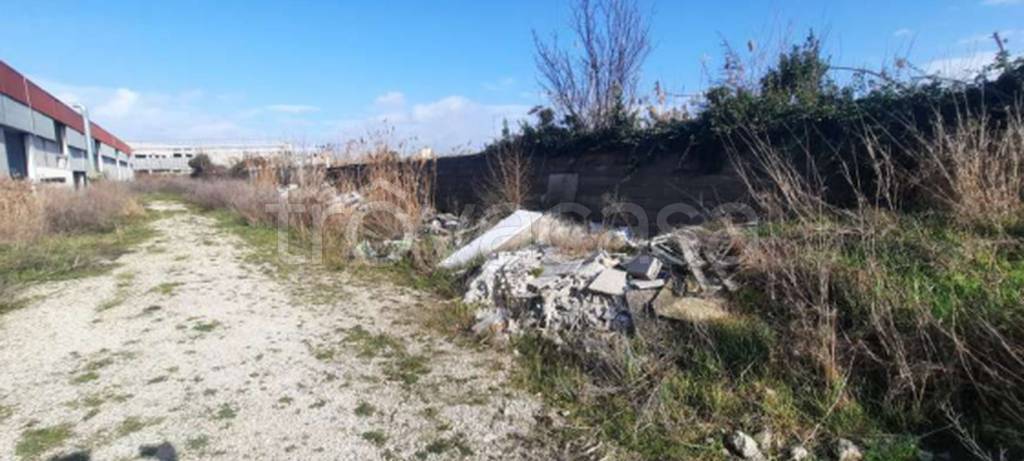 immagine annuncio 4 di 11