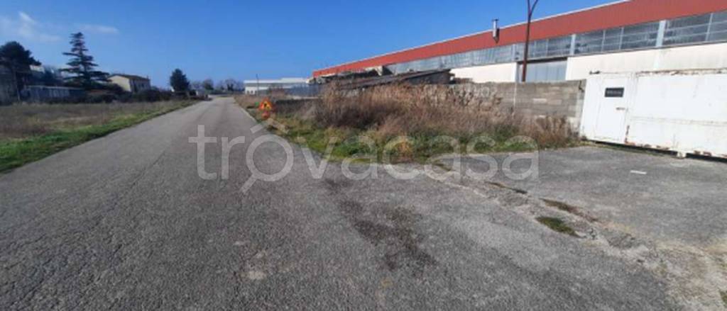 immagine annuncio 5 di 11