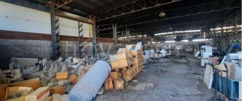 immagine annuncio 9 di 11