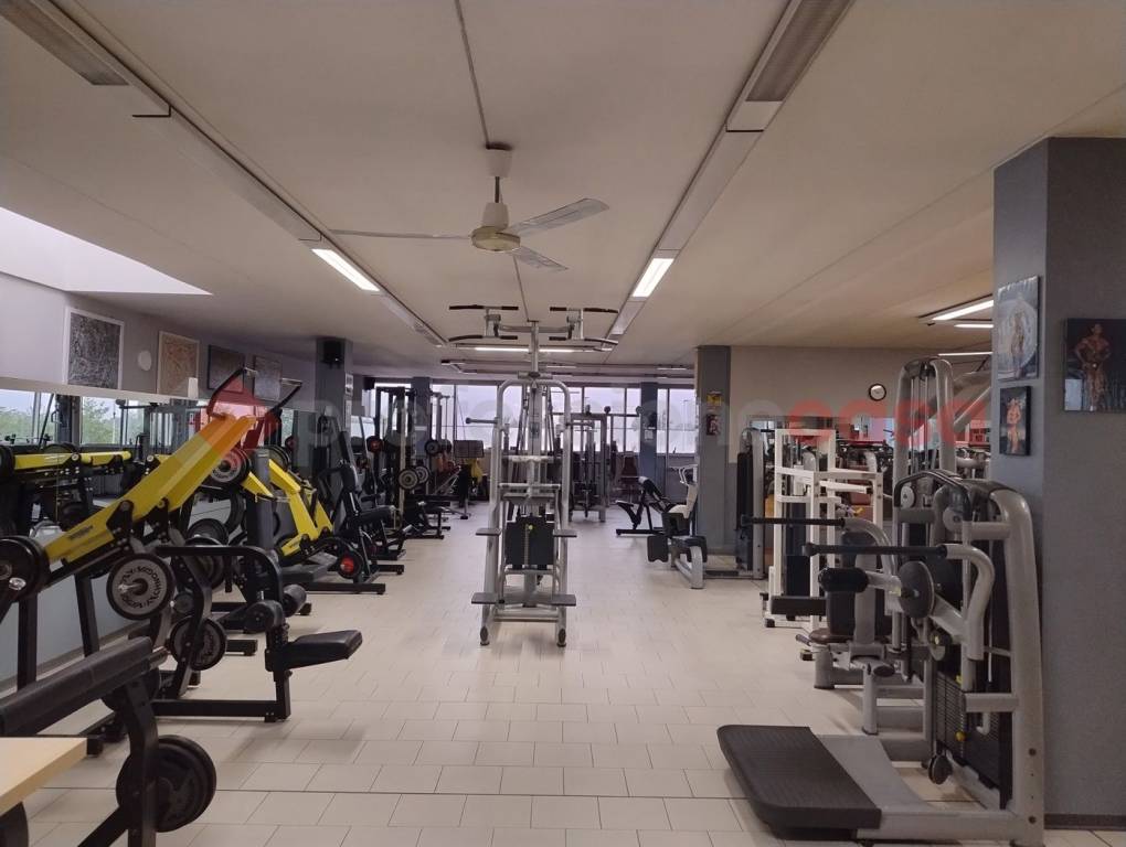 immagine annuncio 3 di 12