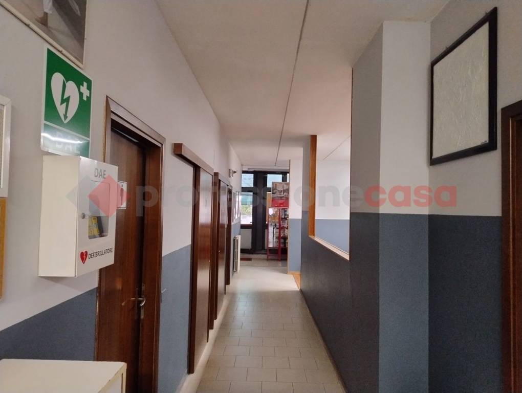 immagine annuncio 4 di 12