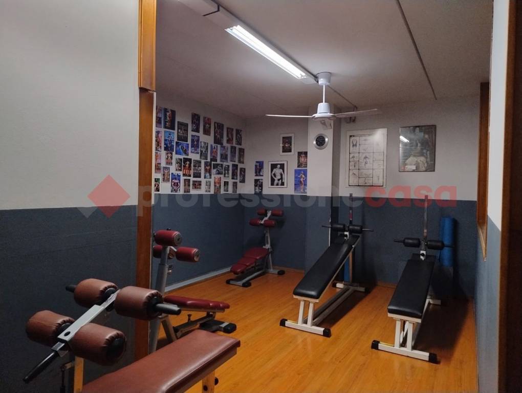 immagine annuncio 10 di 12