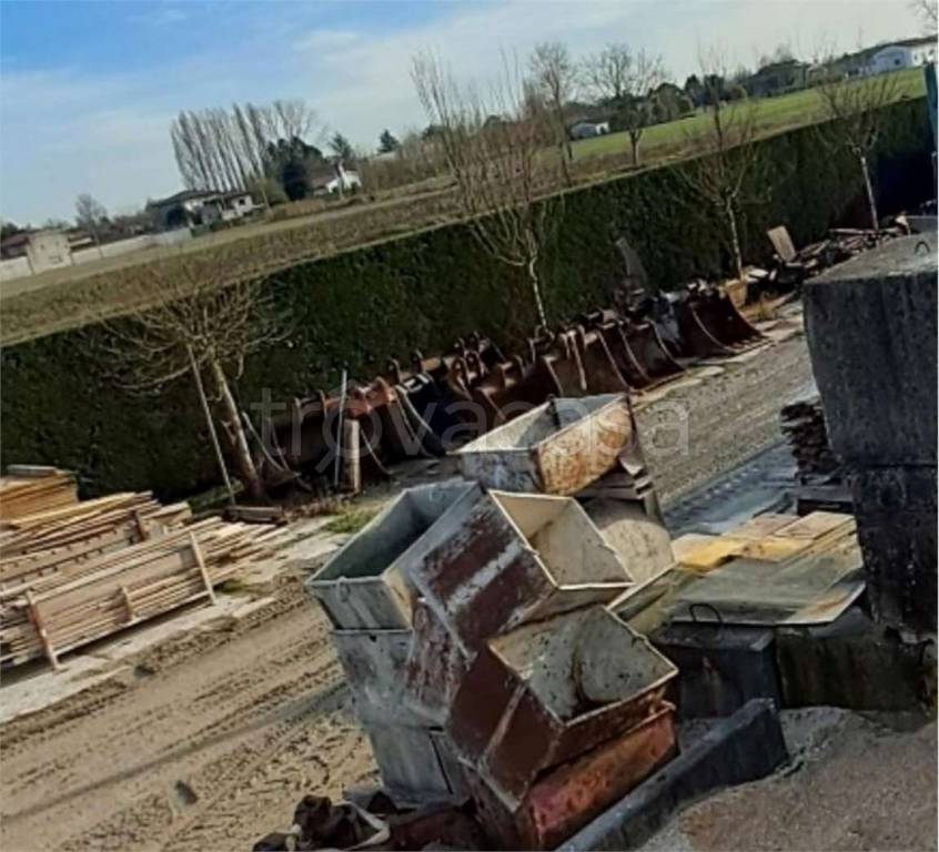 immagine annuncio 11 di 15