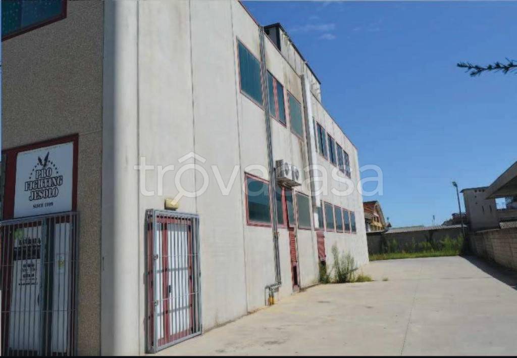 immagine annuncio 1 di 8