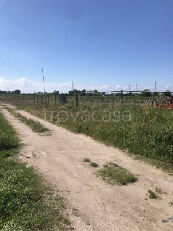 immagine annuncio 3 di 8