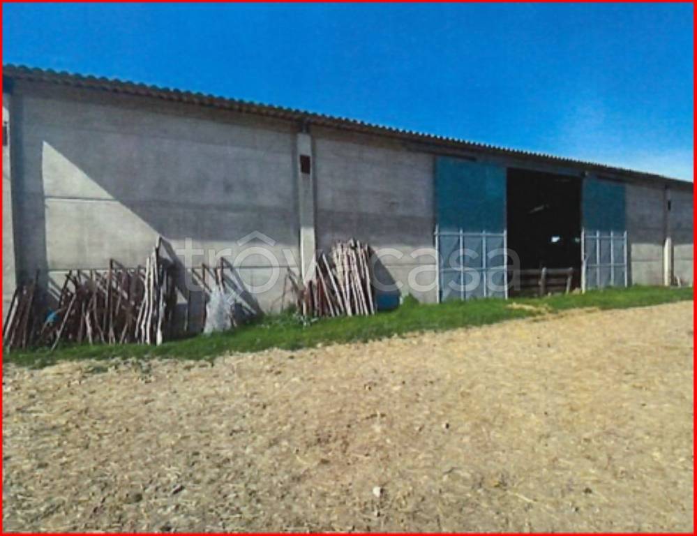 immagine annuncio 6 di 11