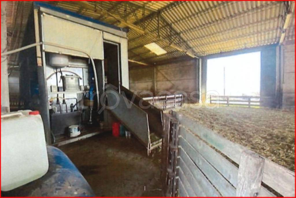 immagine annuncio 8 di 11