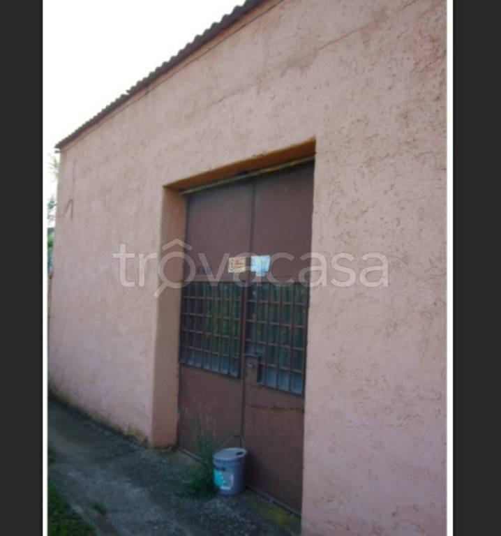 immagine annuncio 4 di 14