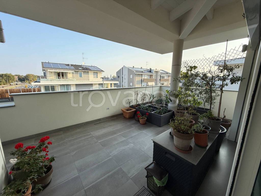 immagine annuncio 14 di 15