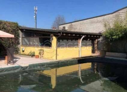 immagine annuncio 8 di 15