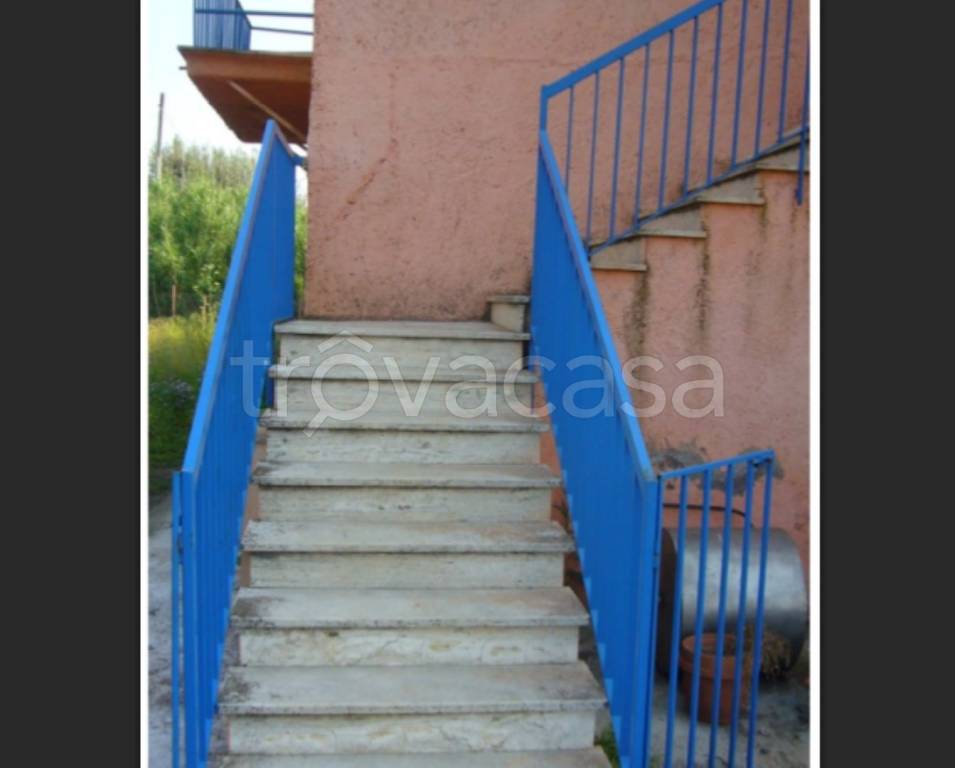 immagine annuncio 11 di 14