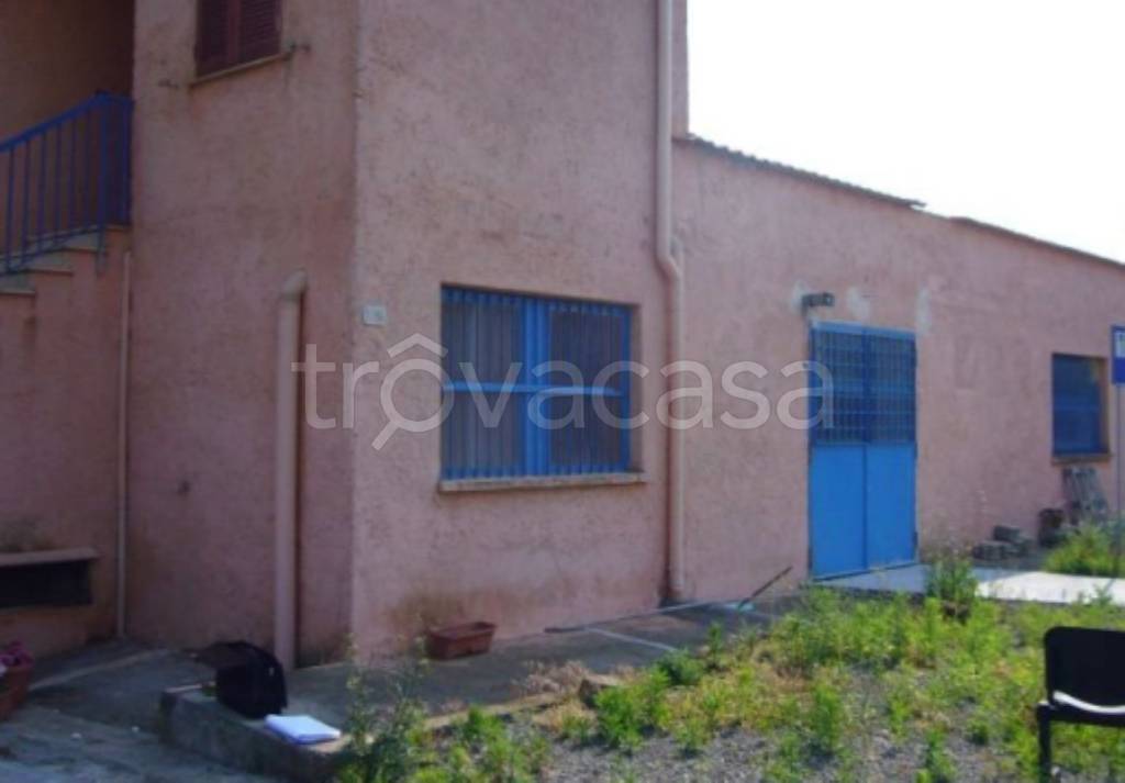 immagine annuncio 12 di 14