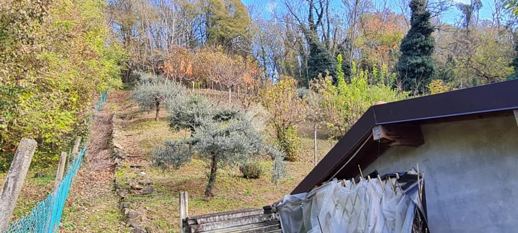 immagine annuncio 11 di 13