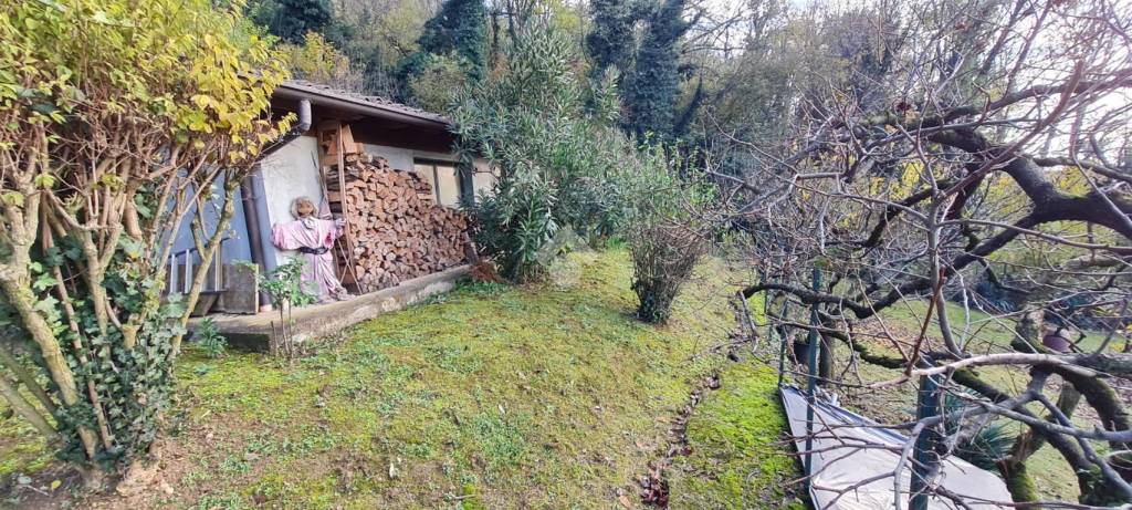 immagine annuncio 12 di 13