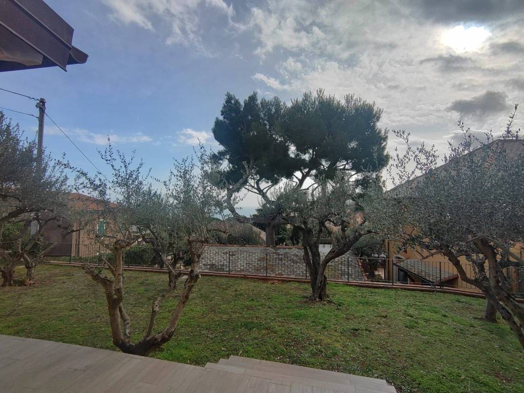 immagine annuncio 5 di 13